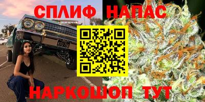 ГАЛЛЮЦИНОГЕННЫЕ ГРИБЫ Чебаркуль