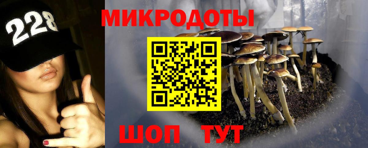 Выборг  наркотики  Вход с VPN  Галлюциногенные грибы прущие грибы 