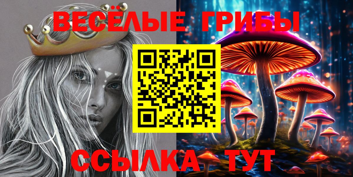 Галлюциногенные грибы мицелий Выборг