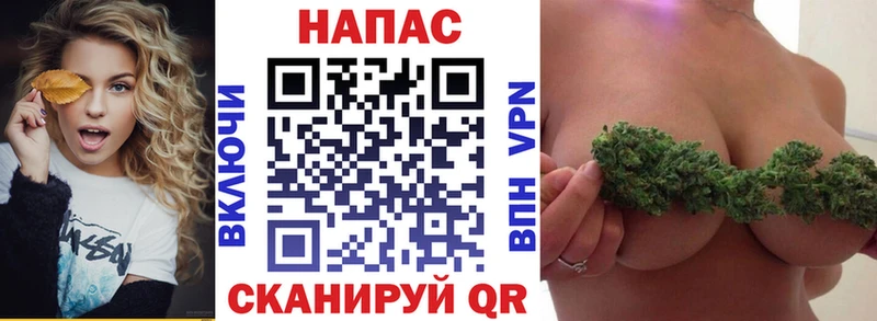 Бошки марихуана марихуана  Выборг 