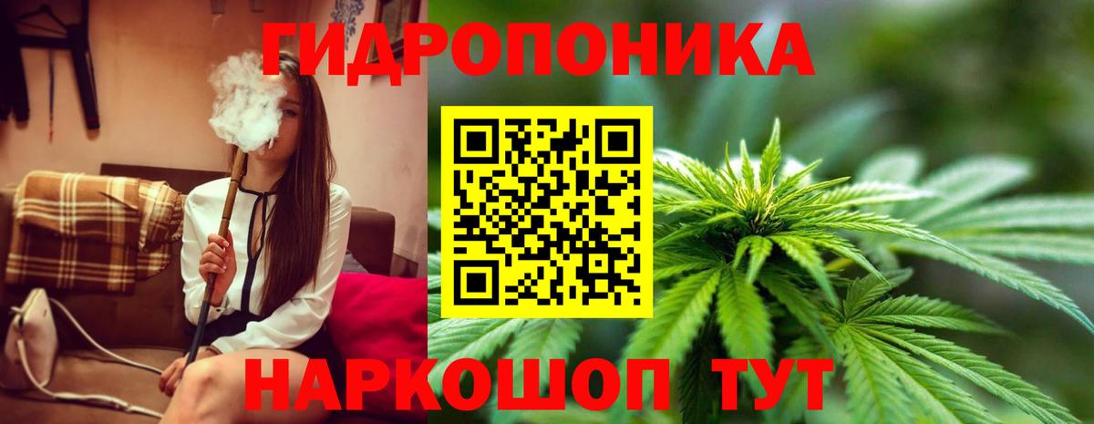 Марихуана план Выборг